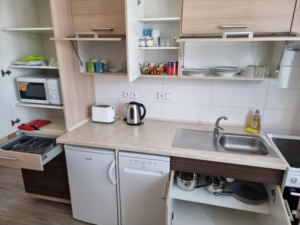 شقة Garsoniera Dukla 289 ديشين المظهر الخارجي الصورة